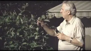 Andreas Mühe inszeniert DDR-Staatsratsvoritzenden Egon Krenz als Gartenzwerg