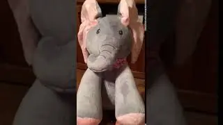 Peek-a-boo Elephant Review
