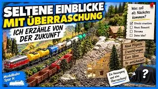 Seltene Einblicke mit Überraschung + Ich erzähle von der Zukunft🚂 [#176] Modellbahn N