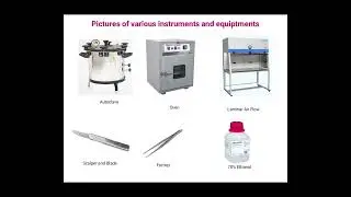 B Sc  III Year Plant Tissue Culture Tech By Dr  Mamta