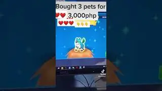 My Defi Pet #dpet #defipet #bnb #mydefipetphilippines #DPETPhilippines100k