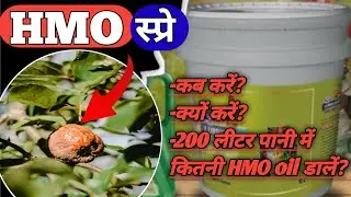 HMO स्प्रे को सही समय पर कब करें। क्यों करें। इसकी मात्रा कितनी लें। किस ब्रांड का HMO स्प्रे करें।