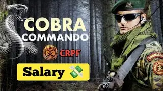 Cobra commando ki salary kitni hoti hai | Cobra commando ki salary 💸