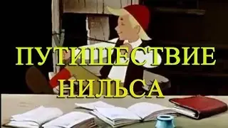 Чудесно е путишествие Нильса с дикими Гусями. Сказка . 1 глава