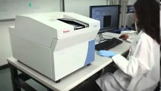 Cellinsight