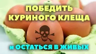 Как избавиться от клещей, блох, пероеда и не потерять печень?