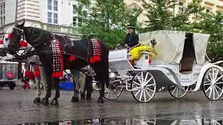 Die K&ouml;nigsstadt Krakau