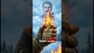 Адская трава&raquo; Сталина: Почему махорка была сильнее пули? #shorts #история #факты #этоинтересно #ссср