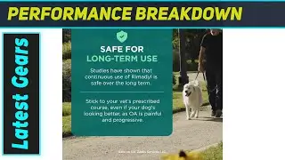 Rimadyl: The Amazing Pain Relief for Your Dog?`