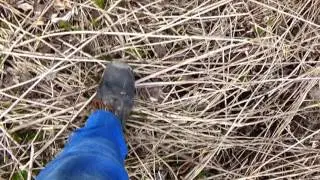 ASMR Crunchy walk