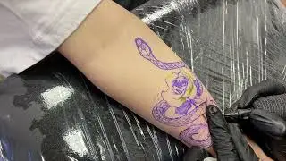 Snake & rose | tattoo timelapse
