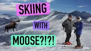 SKIING WITH MOOSE IN BRECK | VLOG