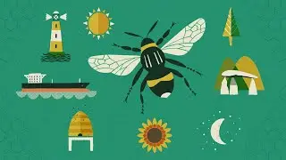 Go Tell the Bees trailer 🐝