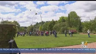 It Happens Here: Tower Hill Botanic Garden In Boylston Connects People With Plants