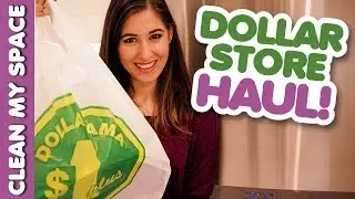 Dollar Store Organizing & Cleaning Products Haul (Clean My Space)