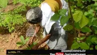 Devaki Amma ,77 years old women  success story of Farming