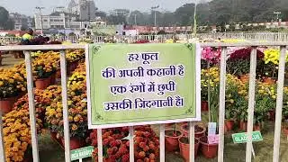 The Most Bizarre Flowers from the Jamshedpur Flower Show