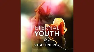 Mind Body Harmony