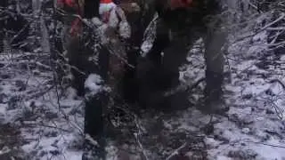Тизер к статье 