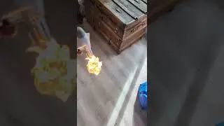 When you buy a butane torch from #aliexpress #torch  #scary