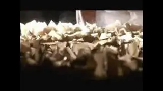 Video Bindi