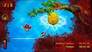 Chopperbird Race in 37,380 ( DKJB Wii )