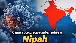 V&iacute;rus Nipah: o que voc&ecirc; precisa saber sobre a doen&ccedil;a, os riscos e o monitoramento internacional