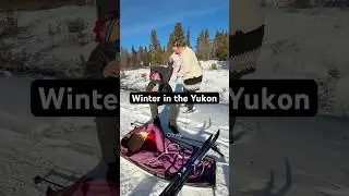 Зима в Юконе