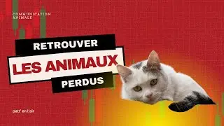 Retrouver des animaux disparus gr&acirc;ce &agrave; la communication animale