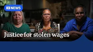 Lawyers making millions in class actions as victims get little payout | ABC NEWS