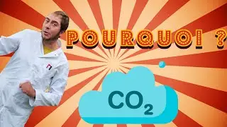 POURQUOI ? [1] Le CO2, bon pour l'environnement