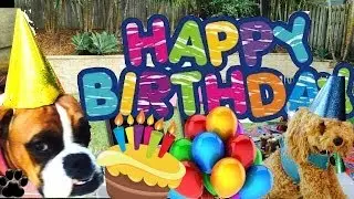 How to host a DOG BIRTHDAY PARTY - How to throw your dog a party- a tutorial by Cooking For Dogs