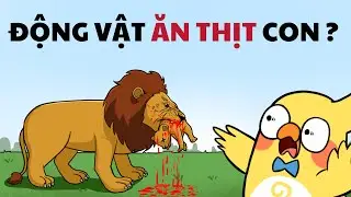 Tại sao động vật ăn con của nó?