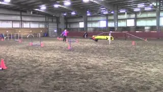 pace trial 11,2014