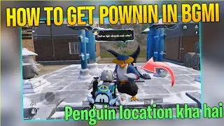 How To Get Pownin Penguin In BGMI | Ninja Penguin Location in BGMI Use of Ninja Pownin| Hire Pownin