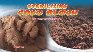 Coco block / Coco peat / Sterilizing Coco block