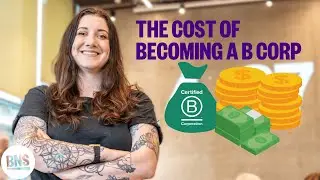 How Much Does It Cost To Become A B Corp?