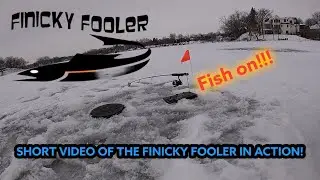 Finicky Fooler in Action! | First Time Use and Caught 4 Today | Wild Urban Adventures | Pike Action
