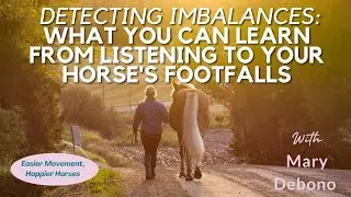 Detecting Imbalances: What You Can Learn from Listening to Your Horse's Footfalls #59