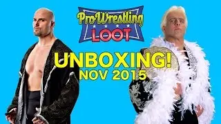 Pro Wrestling Loot Unboxing (Nov 2015) | Wrestling With Wregret