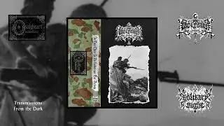 Wolfzahn - In War There is No Substitute for Victory (full ep, 2024)