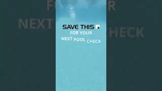 Small Pool Problems You Should Never Ignore (And How to Catch Them Early)