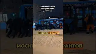 ❄️ МОСКВУ ЗАМЕЛО: МИГРАНТОВ ВЫГНАЛИ, СНЕГ ОСТАЛСЯ