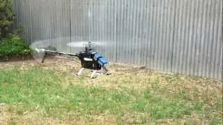Trex 550E DFC maiden hover