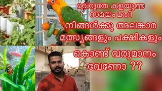 Exotic pets | Alangara malsyangal | love birds | Terasile krishi | fish aquarium | pakshivalarthal