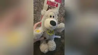 KONG Wild Knots Bear | Tough & Cuddly Dog Toy!