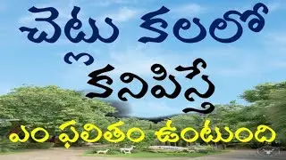 చెట్లు  కలలో కనిపిస్తే ఎం ఫలితం ఉంటుంది | Trees Dream | చెట్ల కల | #Yogi Srinivas | #Swapna Phalam