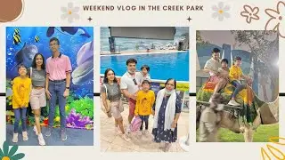 Relaxing Weekend Vlog/Dubai Creek Park/Camel and Pony Ride/Dolphin Show/Aesthetic Silent Vlog