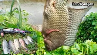 paser mania‼️ahirnya rasa penasaran ke spot sungai ini terbayarkan..‼️paser ikan