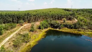 Fazenda 693ha a venda em Curvelo MG as margens da Rodovia